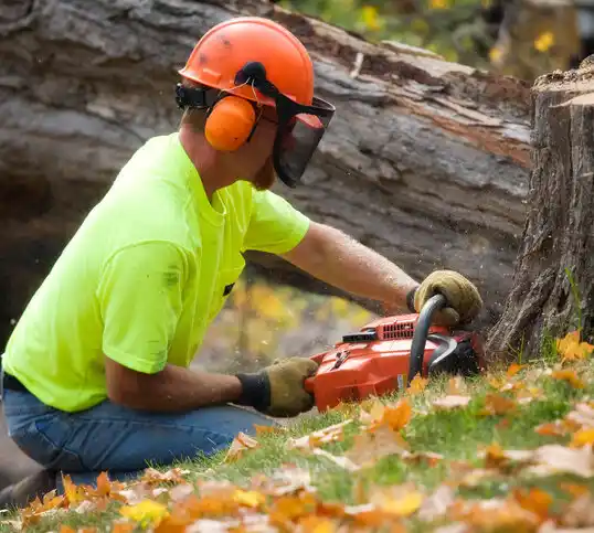 tree services Scottsville